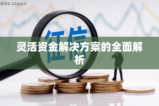 岱岳灵活资金解决方案的全面解析