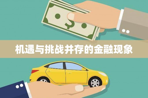 岱岳机遇与挑战并存的金融现象