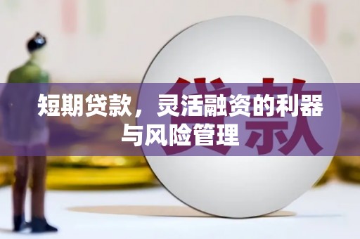 岱岳短期贷款，灵活融资的利器与风险管理