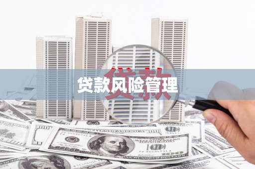 岱岳贷款风险管理
