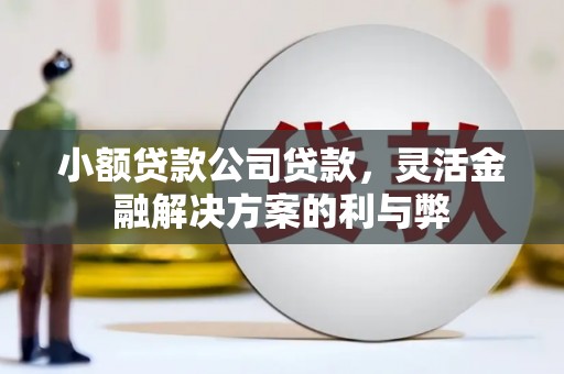 岱岳小额贷款公司贷款，灵活金融解决方案的利与弊
