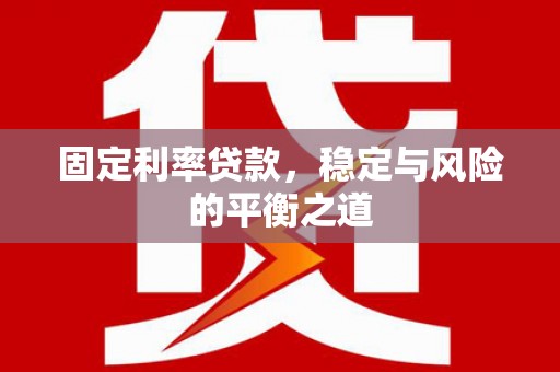 岱岳固定利率贷款，稳定与风险的平衡之道