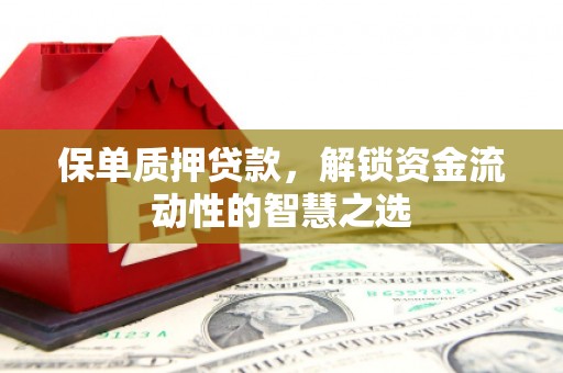岱岳保单质押贷款，解锁资金流动性的智慧之选