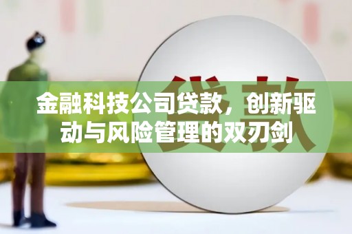 岱岳金融科技公司贷款，创新驱动与风险管理的双刃剑