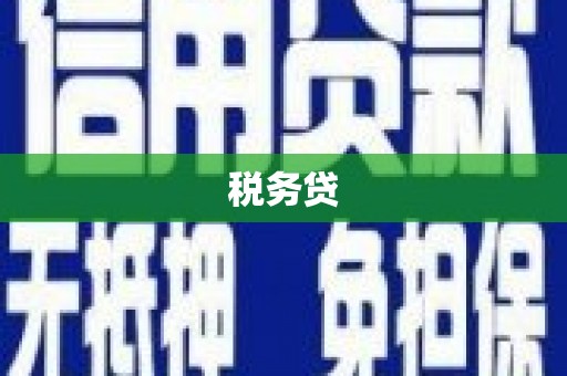 岱岳税务贷